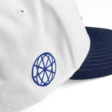 Ray Volpe - Two Tone Hat
